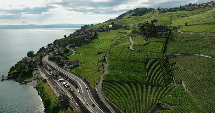 swiss terraced vineyards aerial view 