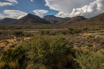 Landschaft im Karoo Nationalpark in Südafrika