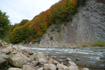 Beautiful mountain river with rapid current. Prut river and mountain folds