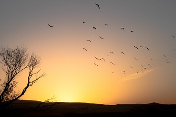 Birds flying in the sunset sky over the silhouette of a tree and field