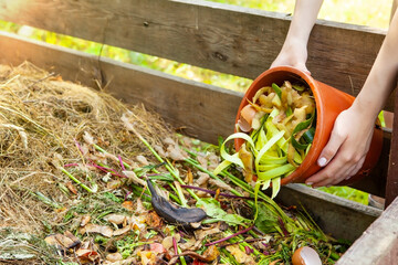 A woman throws kitchen waste, vegetable and fruit peels from a bucket into a composter. Close-up of...