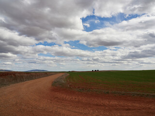 Fototapeta premium Green meadow landscape with blue sky and clouds