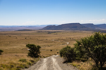 Landschaft im Mountain Zebra Nationalpark in Südafrika