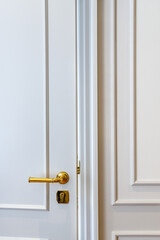 close-up front vertical plan of a white wooden door and a golden doorknob
