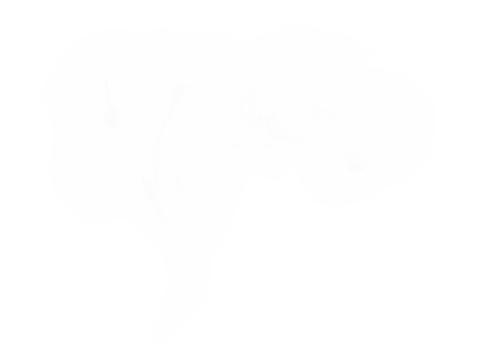 Wispy white smoke or steam isolated on transparent background