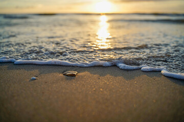 Beach with water and sun reflecting and rock
