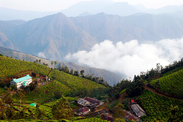 Fototapeta na wymiar beautiful tea garden with misty mountain valley in munnar kerala