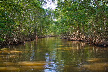 Barra Zacapulco, Acapetahua, Chiapas