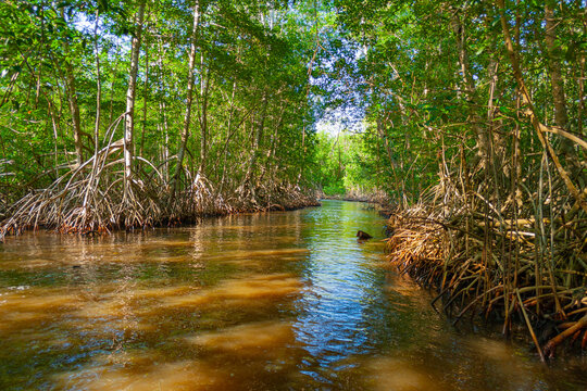 Barra Zacapulco, Acapetahua, Chiapas