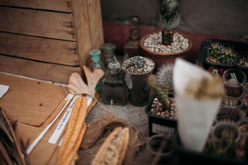 table with plants
