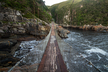 Hängebrücke im Tsitsikamma Nationalpark in Südafrika - obrazy, fototapety, plakaty