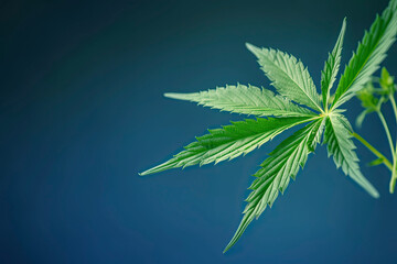 Image generated with AI. A beautiful marijuana leaf