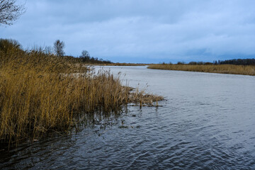 Thickets of reeds along the river bank. The blue sky and bulrush is reflected in the calm river water.