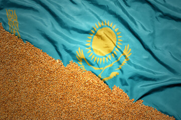 wheat grain on the waving colorful national flag of kazakhstan .macro shot. - obrazy, fototapety, plakaty