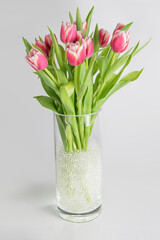 Bouquet of pink tulips in a cylinder glass vase full of hydrogel on white background vertical