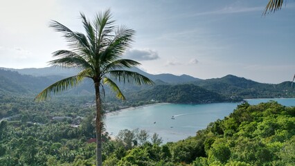 Fototapeta na wymiar Tropical view palm tree and sea in Thailand Koh Phangan
