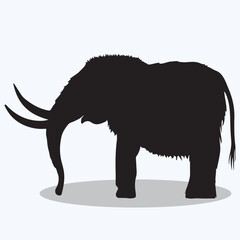 Obraz na płótnie Canvas Woolly Mammoth silhouettes and icons. Black flat color simple elegant woolly mammoth animal vector and illustration.