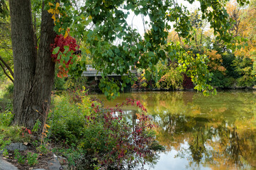 Fototapeta na wymiar Colorful Secluded River Shoreline In Fall