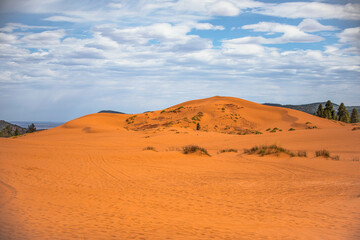 Fototapeta na wymiar coral pink sand dunes in the desert