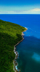 Ilhas Tropicais Natureza Mar Oceano Atlântico Floresta Mata Atlântica Palmeiras Árvores Peixes...