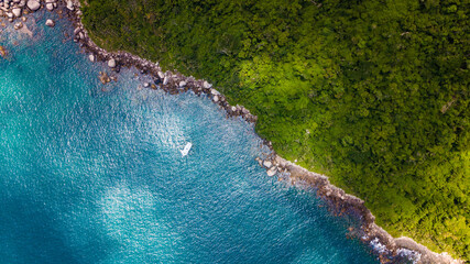 Ilhas Tropicais Natureza Mar Oceano Atlântico Floresta Mata Atlântica Palmeiras Árvores Peixes Barcos Florianópolis Santa Catarina Arvoredo Campeche Céu Marítimo Mergulho Férias Viagem Viajar Brasil 