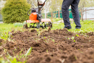 A man works the land in the garden with a cultivator, prepares the soil for sowing. farming...