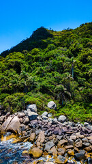 Ilhas Tropicais Natureza Mar Oceano Atlântico Floresta Mata Atlântica Palmeiras Árvores Peixes...