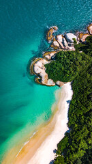 Ilhas Tropicais Natureza Mar Oceano Atlântico Floresta Mata Atlântica Palmeiras Árvores Peixes...
