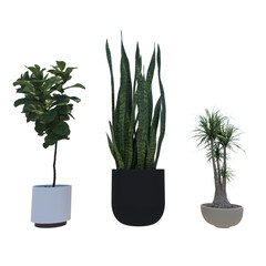 set of plants with white vases, no background very clean