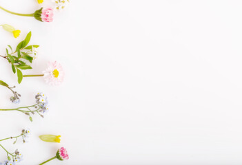 Pink flowers daises frame on white background