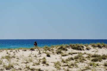 View across sand dunes to the ocean at Kirra Beach, Queensland, Australia