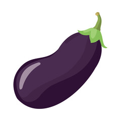 Fresh organic eggplant ripe and vegetarian meal