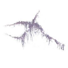 Obraz premium pintura en pared con fondo transparente