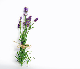 Naklejka premium Bunch of lavender flowers isolated on white background