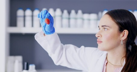 Biologist woman, science research and fruit in a laboratory for analysis, agriculture or study. Scientist girl or doctor lab with strawberry, tablet and organic or generic food for gmo experiment - Powered by Adobe