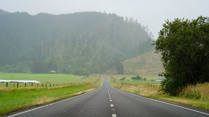 Fototapeta na wymiar The Te Urewera Rainforest Route in the North Island of New Zealand