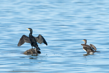 View of Djerba, a large island in southern Tunisia
