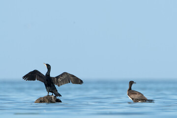 View of Djerba, a large island in southern Tunisia
