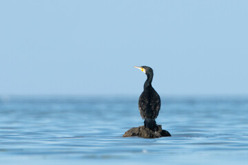 View of Djerba, a large island in southern Tunisia
