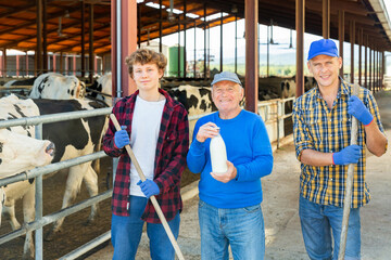 Three various aged male dairy farmer standing in barn at cow stalls.