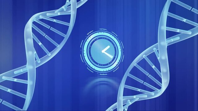 Animation of neon ticking clock and spinning dna structures against blue background - Powered by Adobe