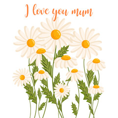 Mother's day greeting card. Several chamomile flowers grow. Botanical vector isolated illustration for postcard, poster, invitation, ad, decor, fabric and other uses. Festive text can be replaced.