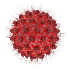 Coronavirus 2019-ncov flu infection 3D medical illustration. Microscopic view of floating disease respiratory influenza virus cells.Virus Bacteria isolated white Background Under Microscope