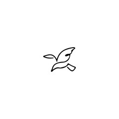 line concept bird illustration vector