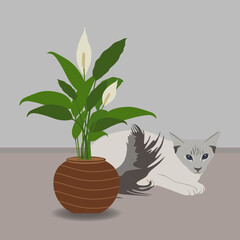 Illustration of a cute kitten sitting near a plant. Cat with houseplant in flat style illustration. Funny pets scene. Vector illustration