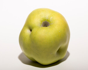 Ugly mutant apple. The fruit is yellow on a white background.