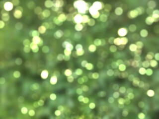 Obraz premium green bokeh background