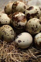 Naklejka na ściany i meble Nest with many speckled quail eggs on table, closeup
