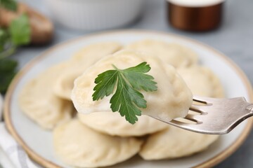 Fork with delicious dumpling (varenyk) with tasty filling and parsley above plate, closeup