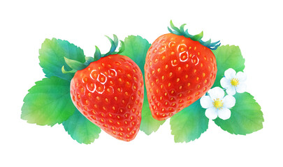 熟した赤いイチゴと葉と花の水彩イラスト_新鮮で甘いかわいいフルーツの背景